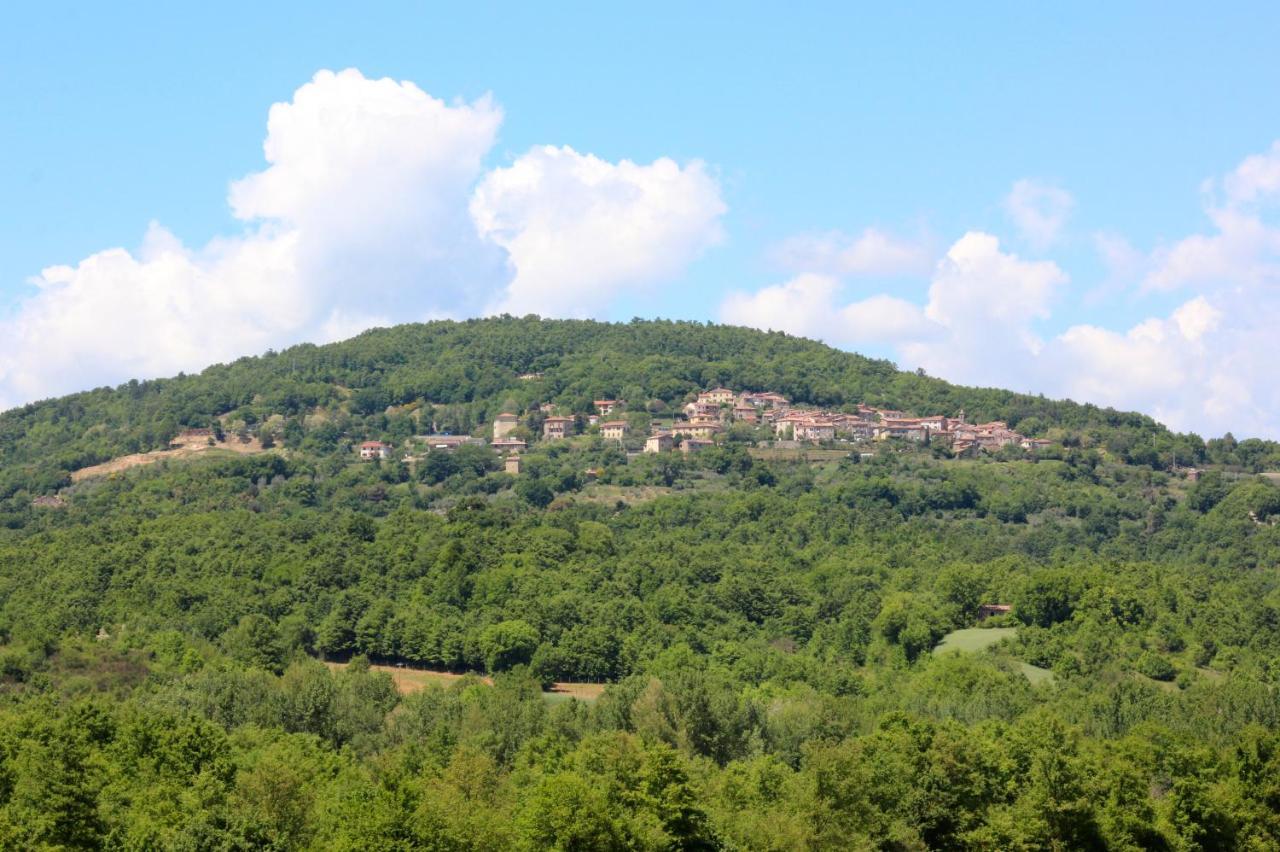Agriturismo La Via Dell'Oliviera Ciciano Екстериор снимка